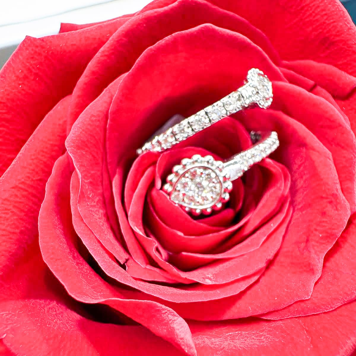 Beautiful diamond engagement ring set nestled in red rose petals